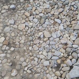 Meet your Posher, Randy